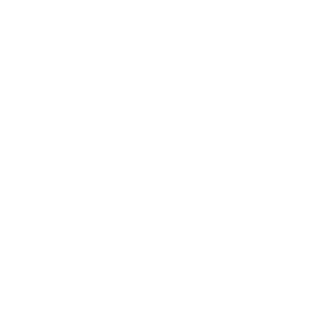 Zoot Sports Logo